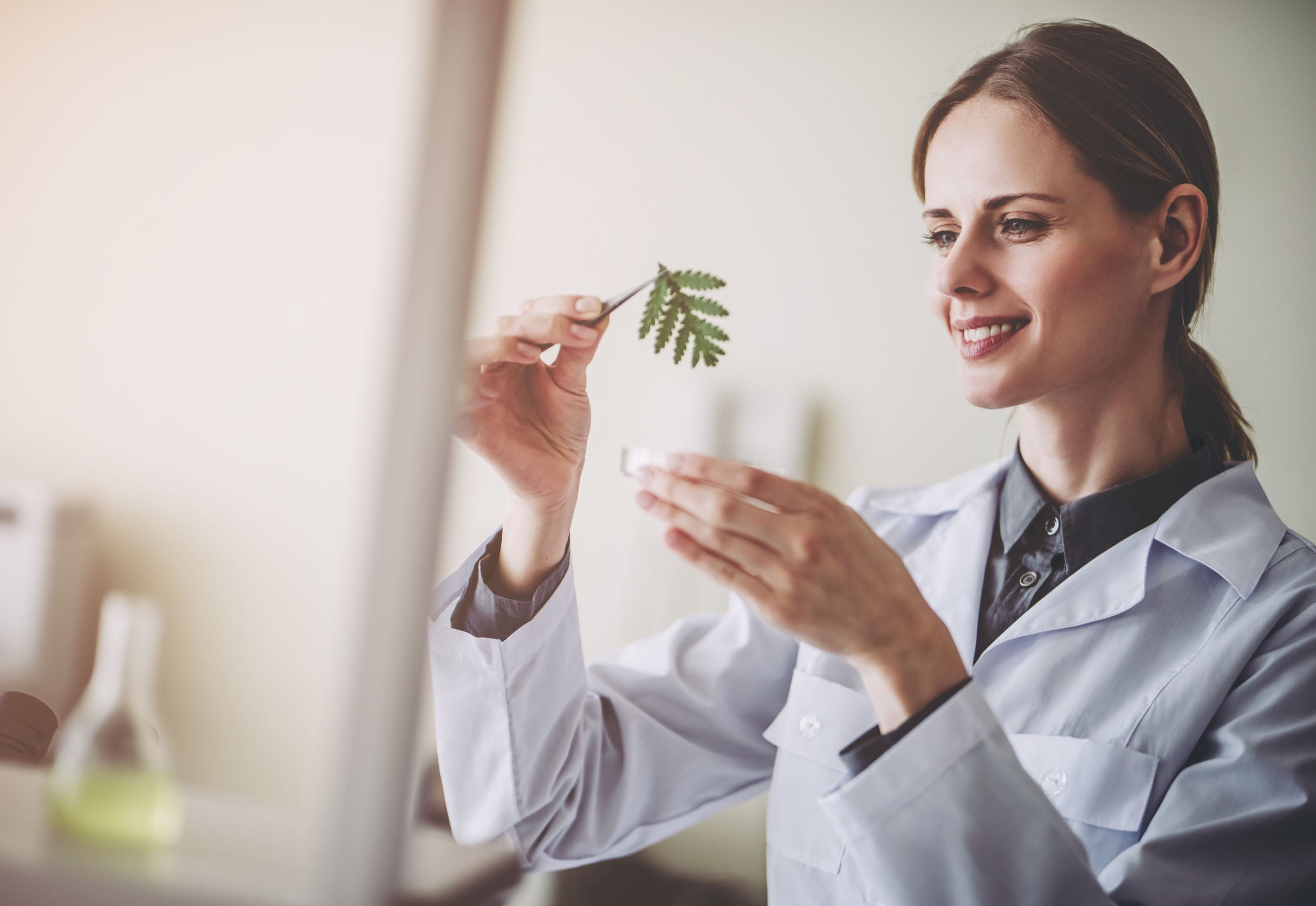 Trademarks for raw materials: better quality or marketing trick?