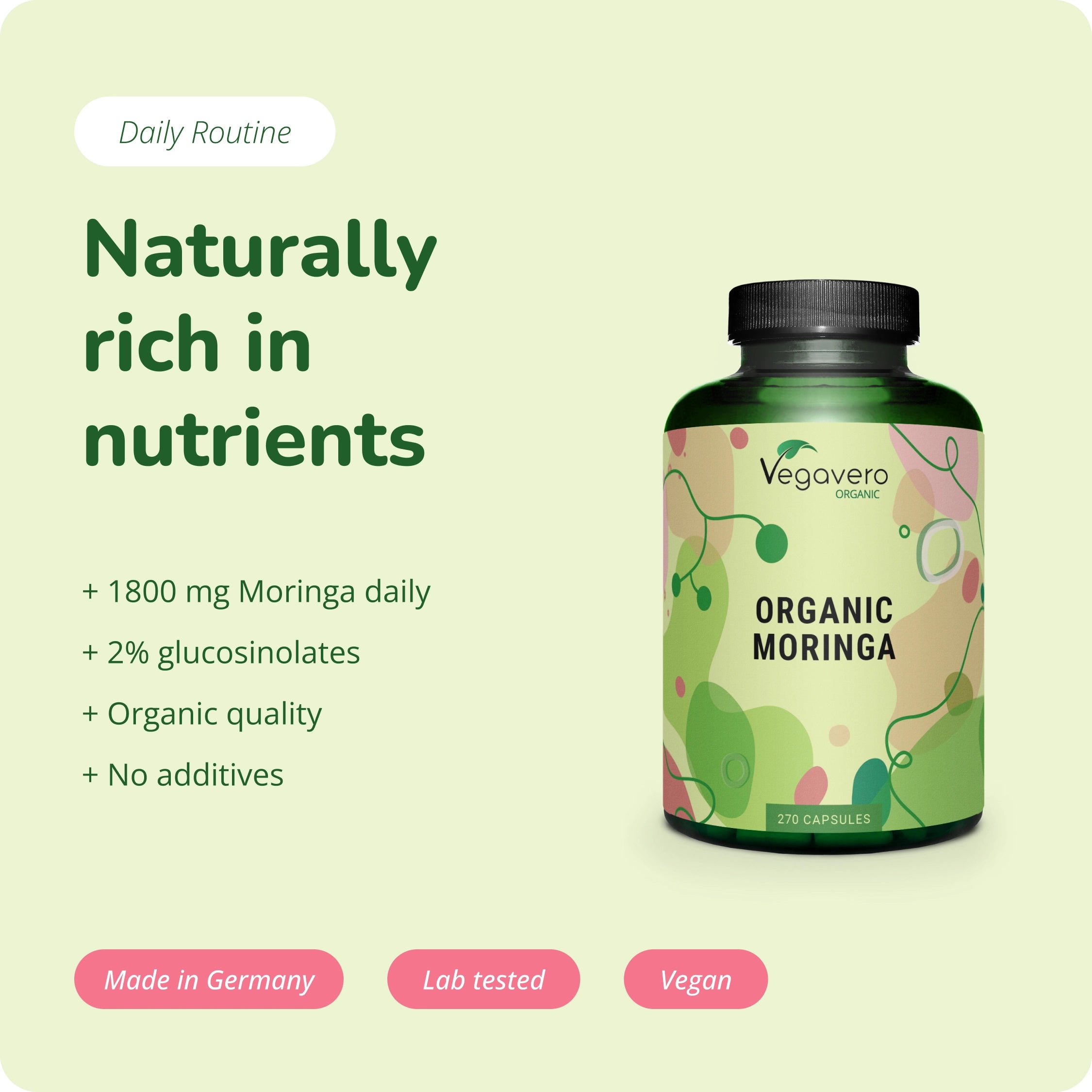 Moringa Oleifera Cápsulas Orgánico