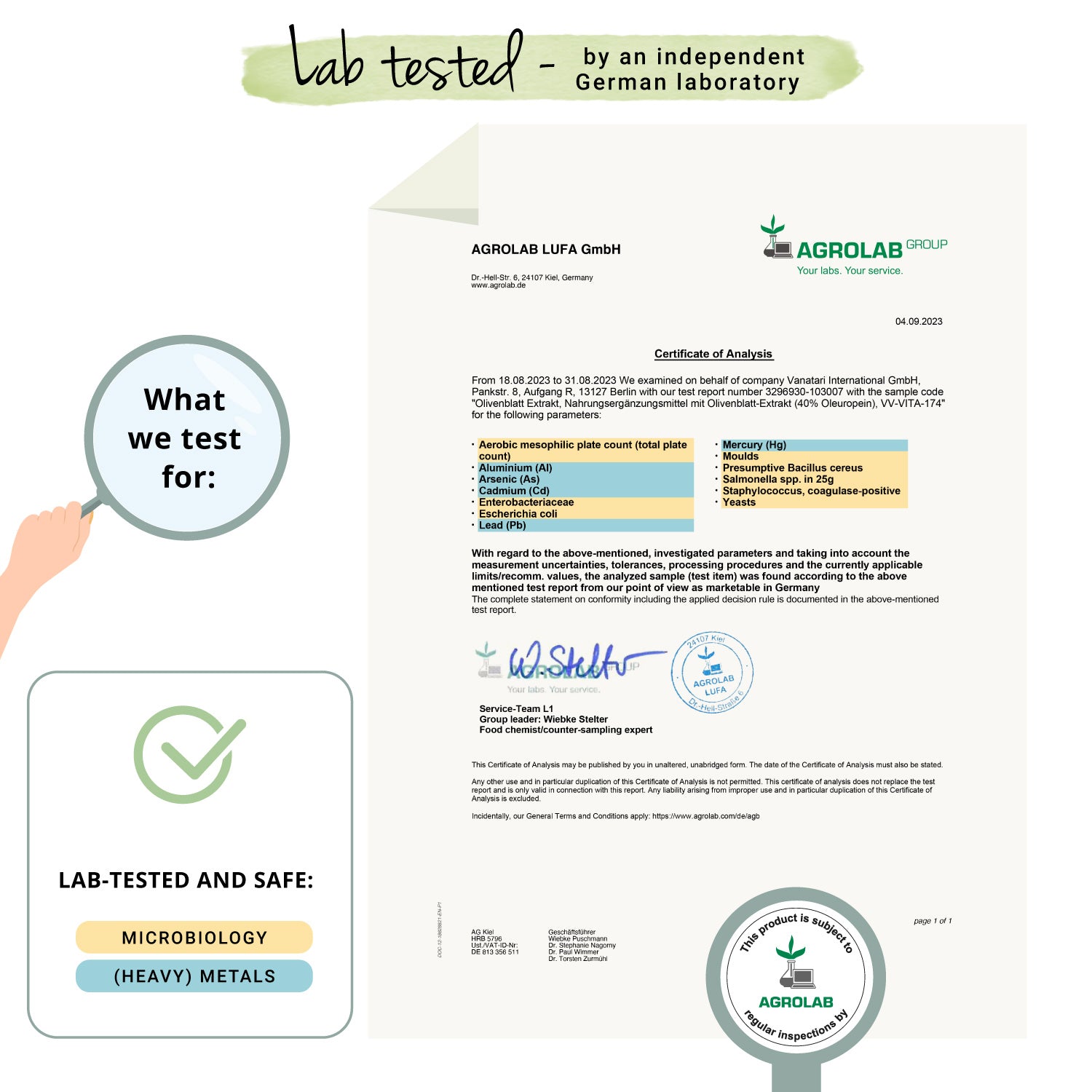Hoja de Olivo Extracto Cápsulas