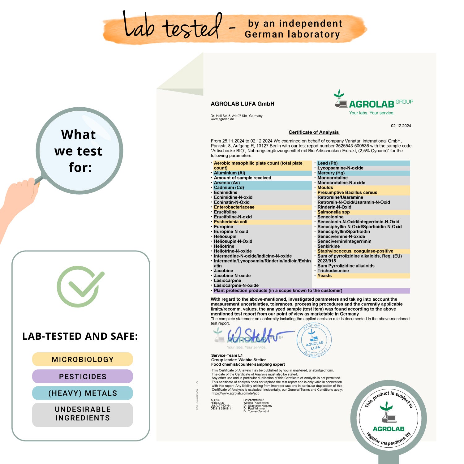 Alcachofa Extracto Cápsulas Orgánico