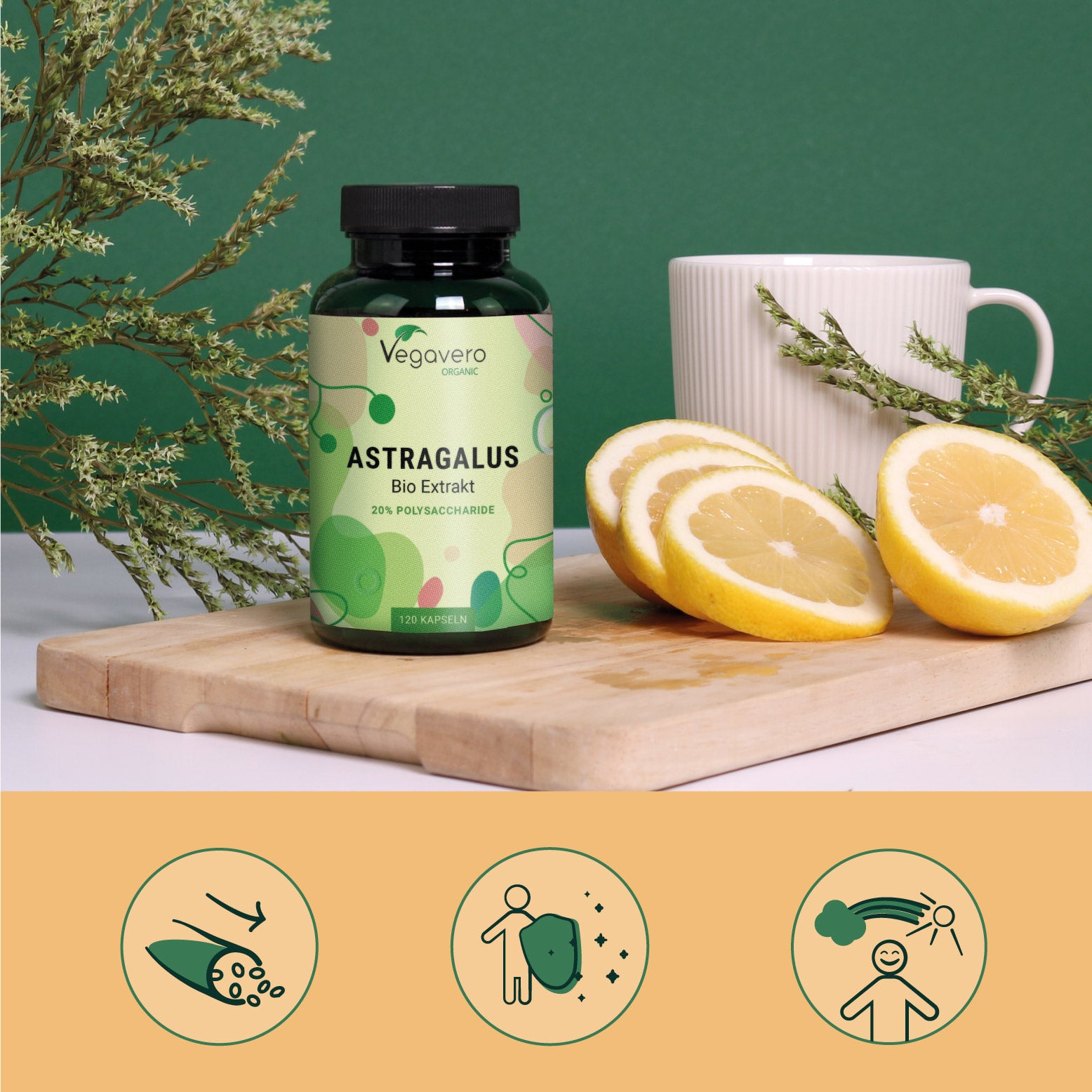 Astrágalo Extracto Cápsulas Orgánico