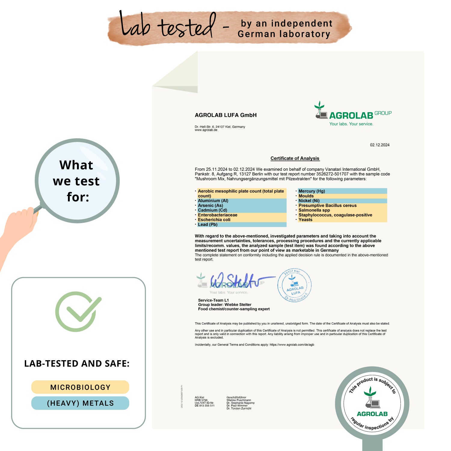 Mushroom Mix Complex Cápsulas
