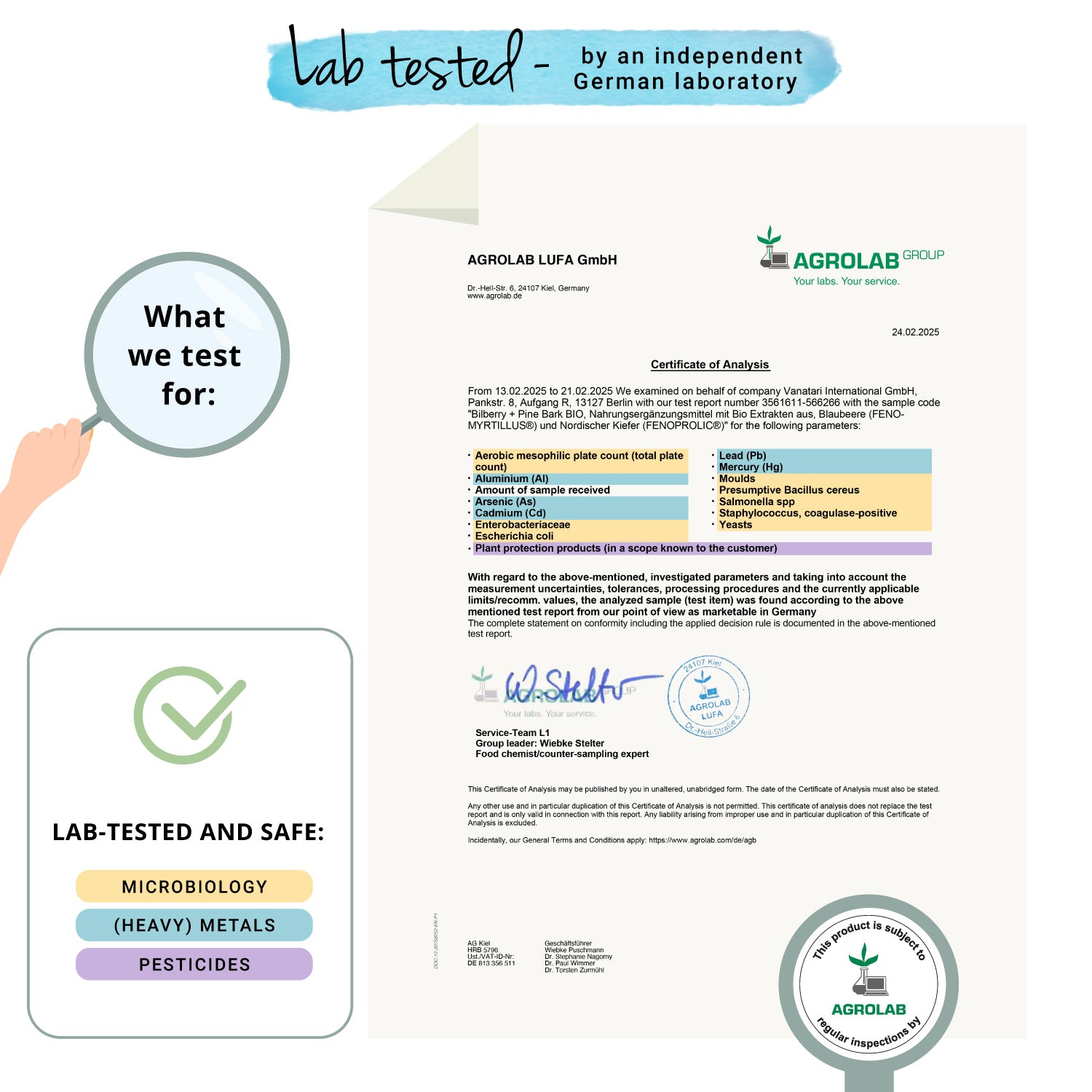 Arándano + Corteza de Pino Extractos Cápsulas Orgánico