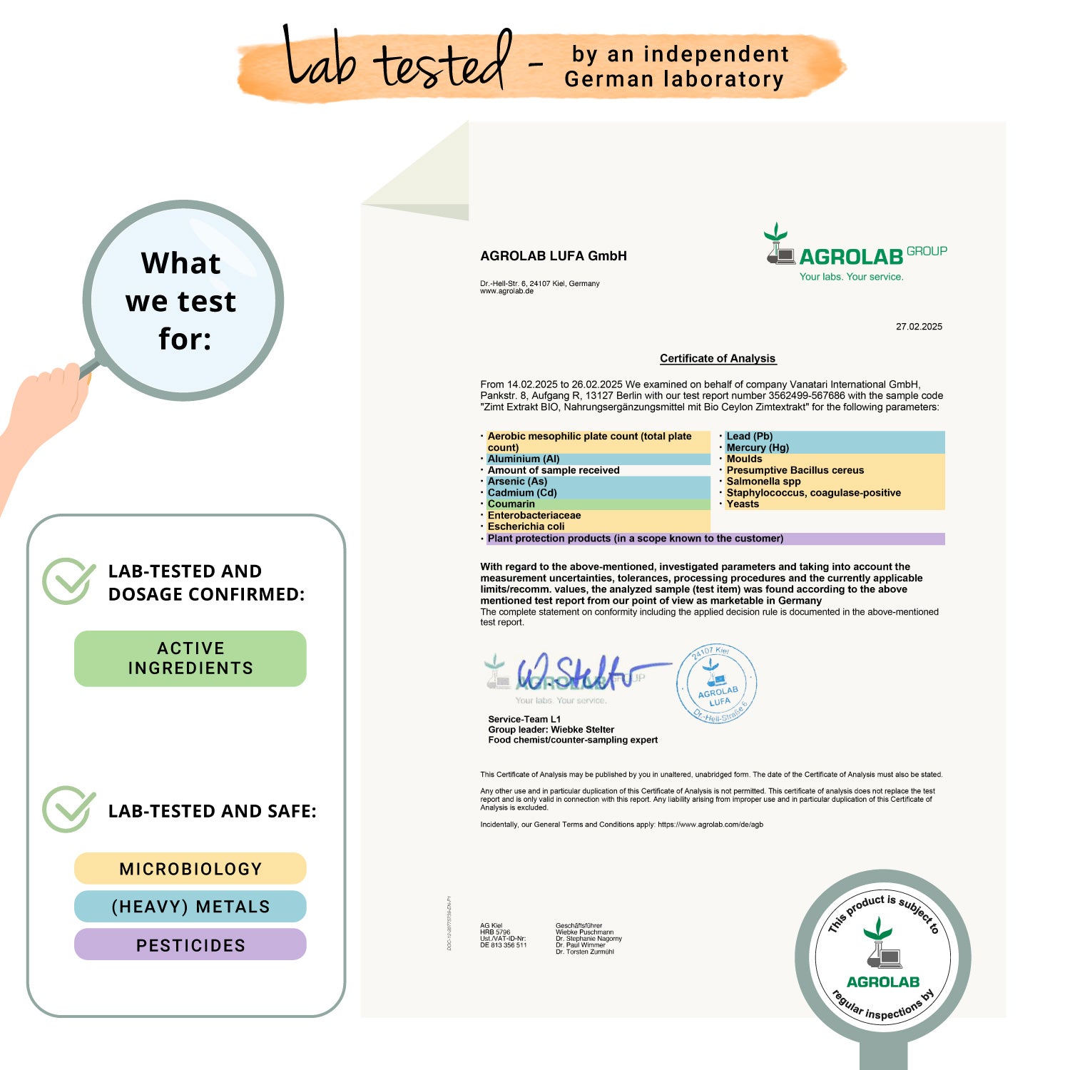 Canela de Ceilán Extracto Cápsulas Orgánico
