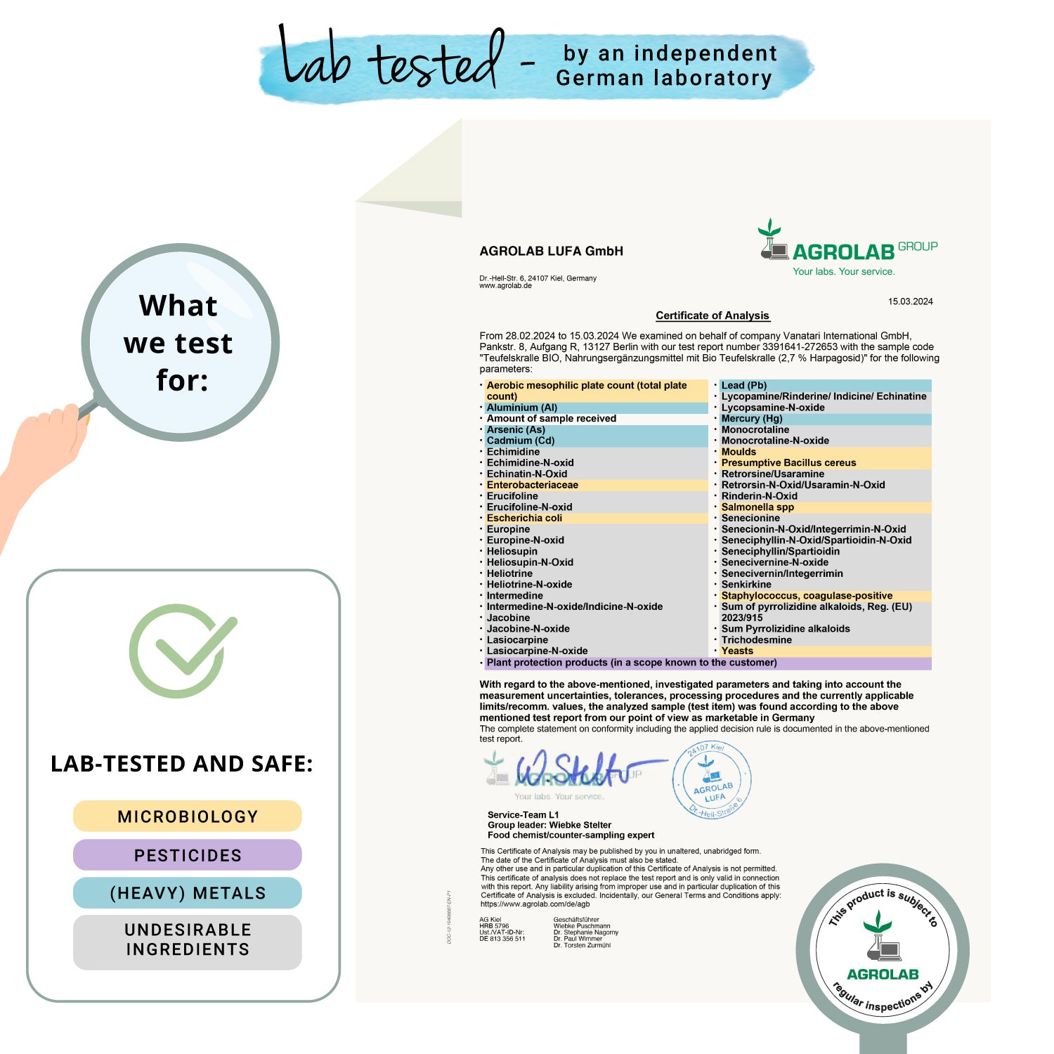 Garra del Diablo Extracto Cápsulas Orgánico