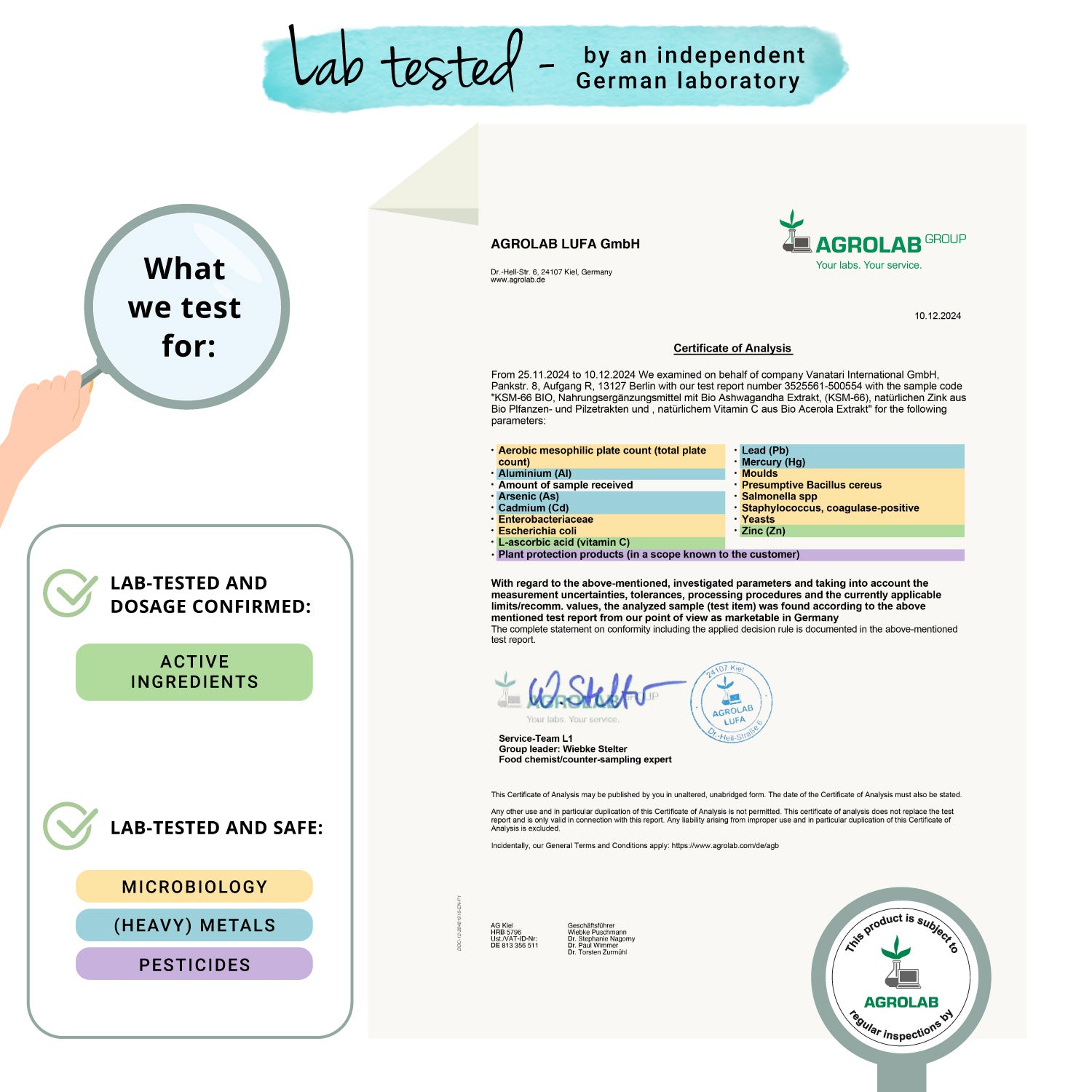 Ashwagandha KSM-66 Extracto Cápsulas Orgánico