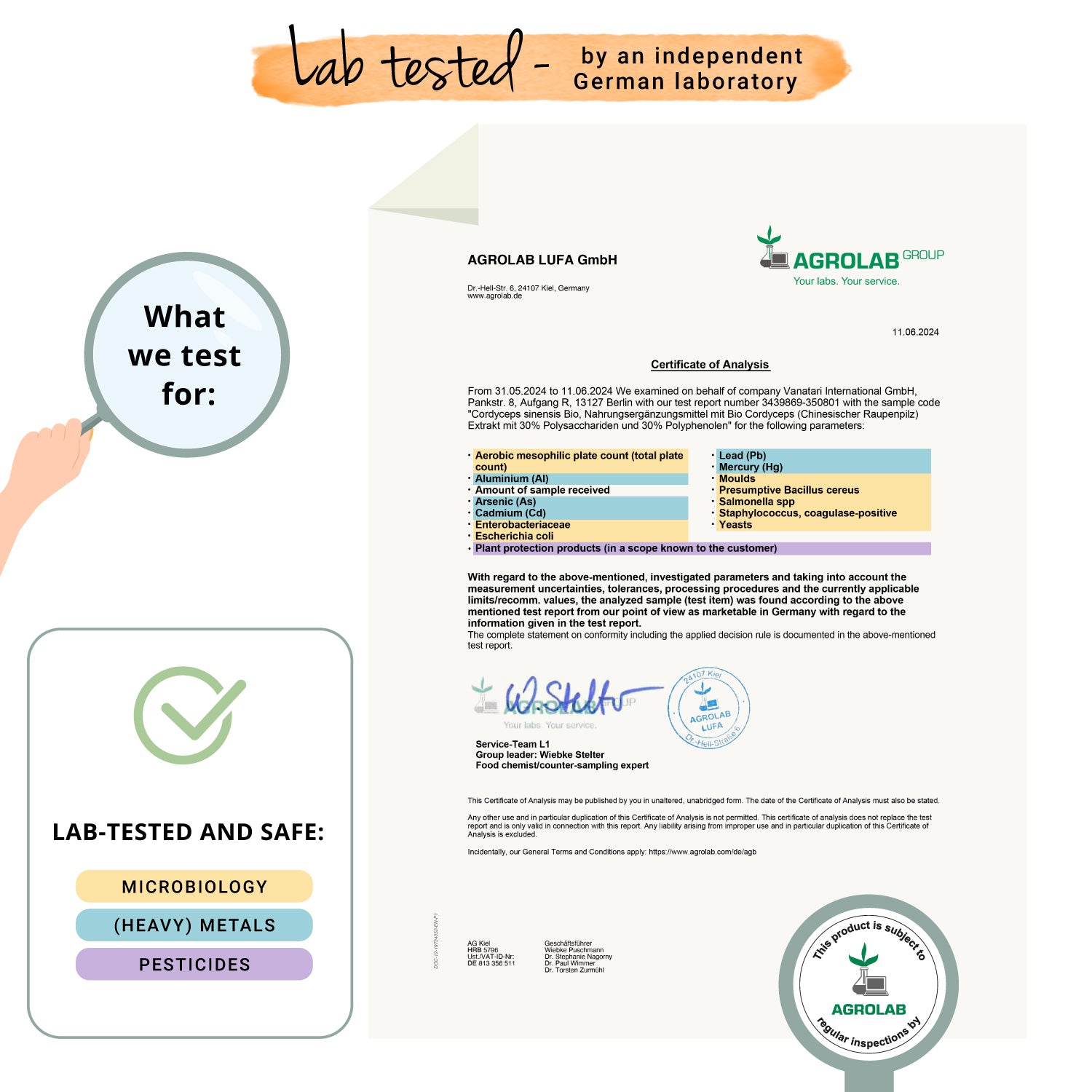 Cordyceps Sinensis Extracto Cápsulas Orgánico