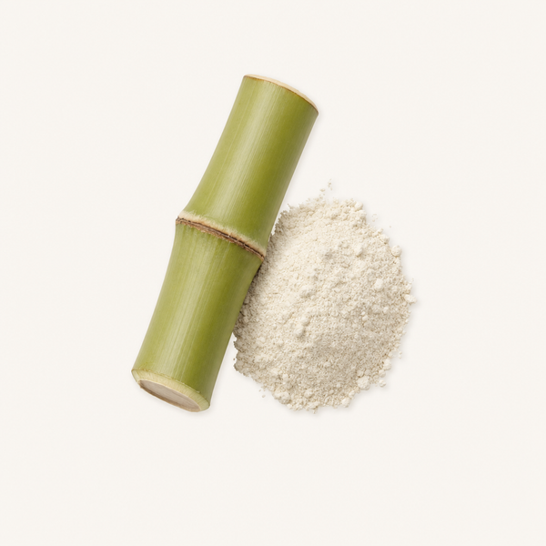 Extracto de Bambú (Bambusa arundinacea) 70% Sílice BIO