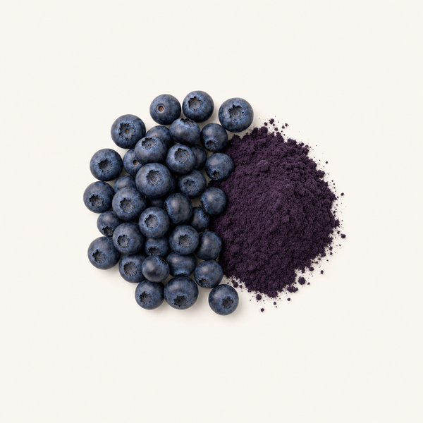 Extracto de Fruta de Arándano 25%