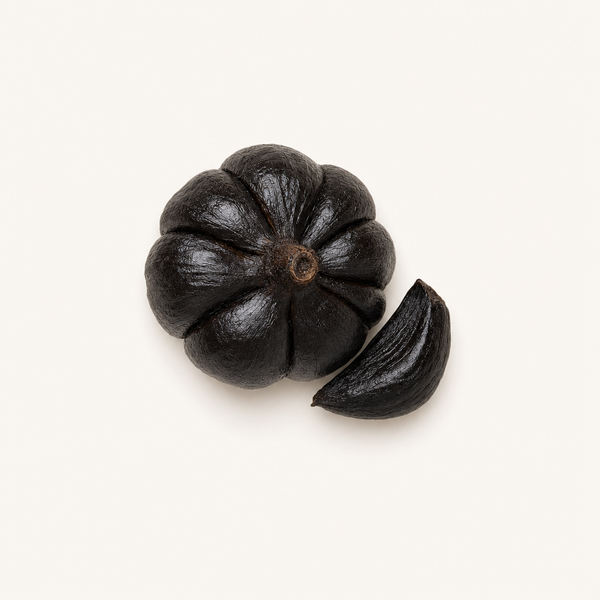 Extracto de Bulbo de Ajo Negro (0,1% SAC)