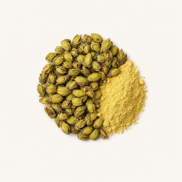 Extracto de brotes de flores del árbol de la pagoda japonés (95 % Quercetina)