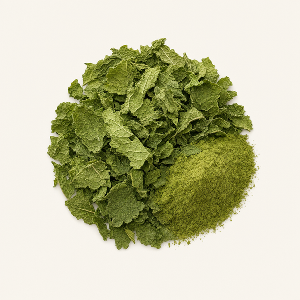 Extracto de hoja de toronjil (Melissa officinalis)