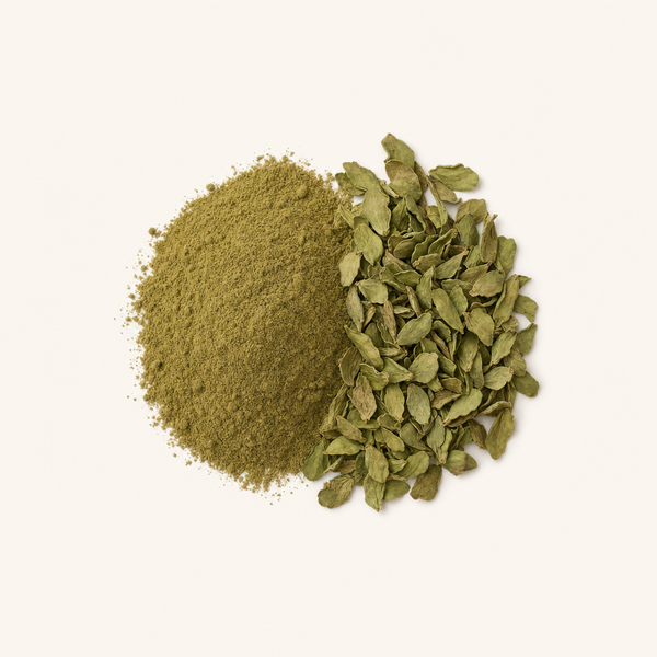 Polvo de brahmi ecológico