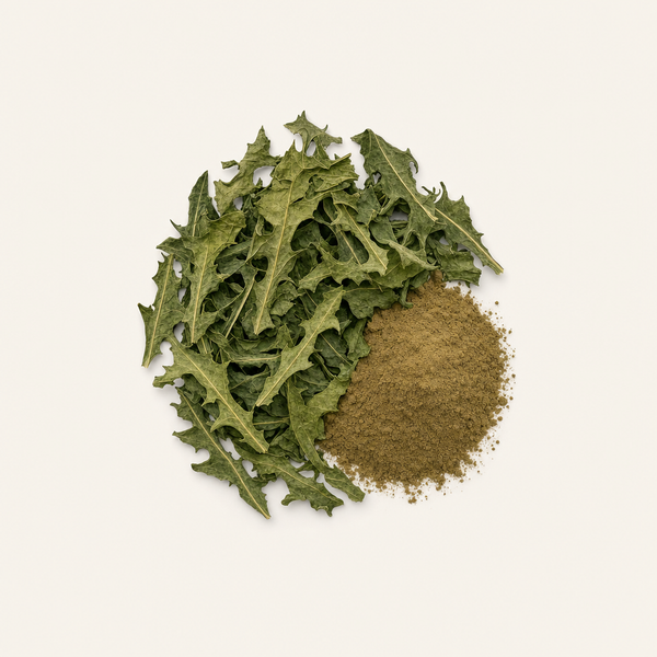 Extracto orgánico de hoja de diente de león (3% ácido clorogénico)