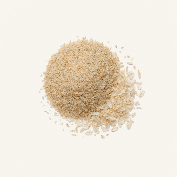 Polvo de cáscara de psyllium orgánico