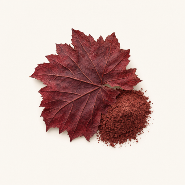 Extracto de hoja de vid roja 3-5% BIO