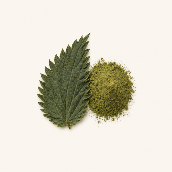 Extracto de hoja de ortiga con un 0,8 % de beta-sitosterol