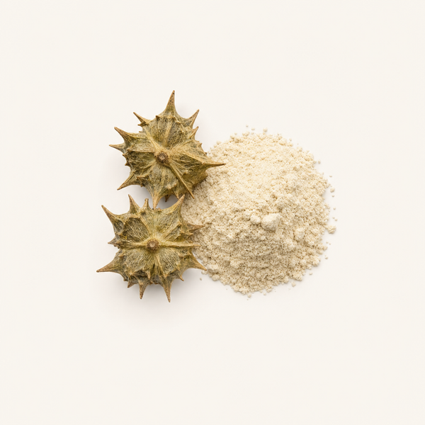 Extracto de Tribulus Terrestris 90% saponinas