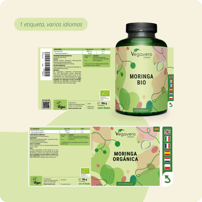 Moringa Oleifera Cápsulas Orgánico