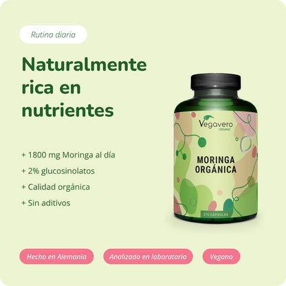 Moringa Oleifera Cápsulas Orgánico