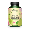 Artemisa Extracto Cápsulas