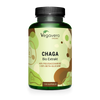 Chaga Extracto Cápsulas Orgánico