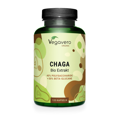 Chaga Extracto Cápsulas Orgánico