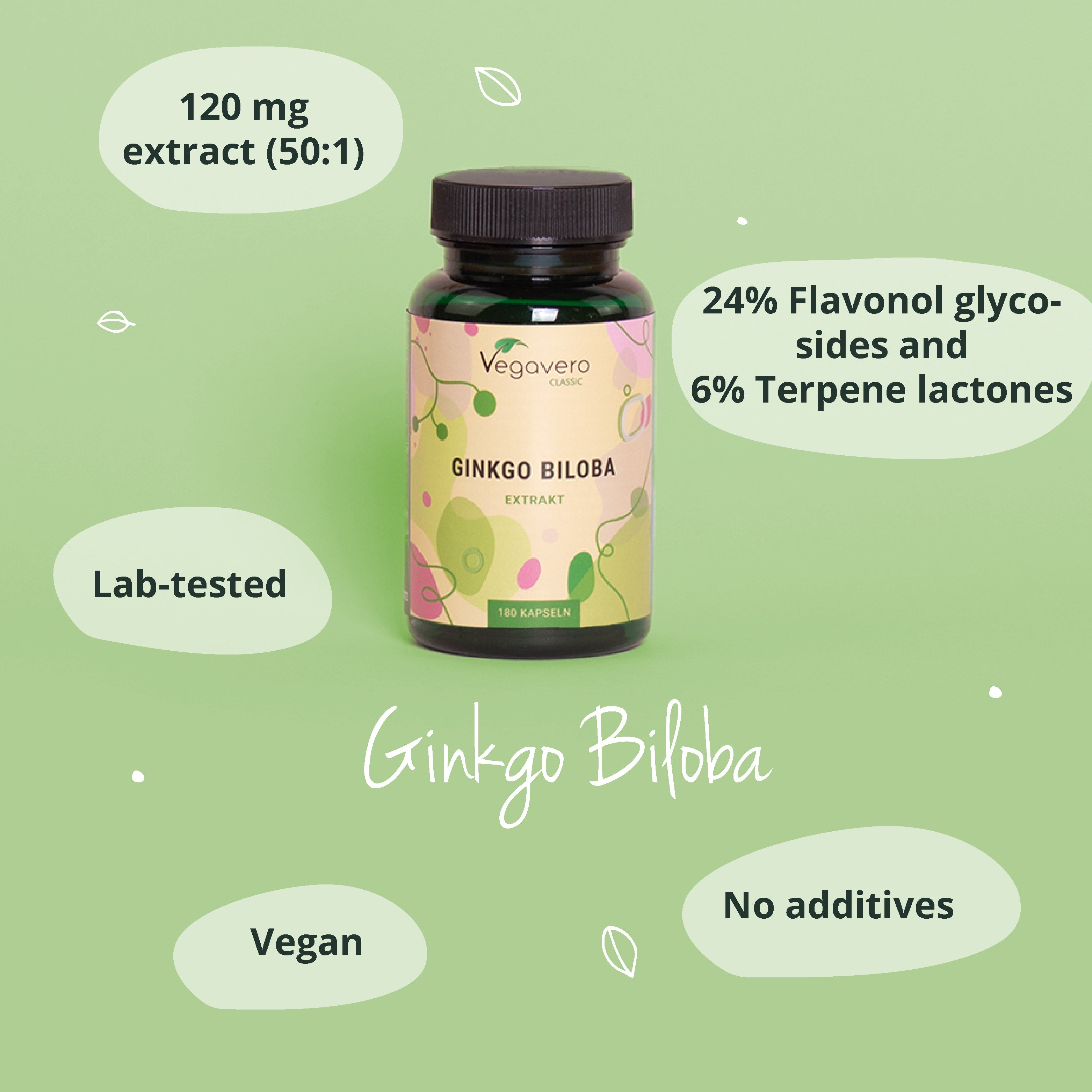 Ginkgo Biloba Extracto Cápsulas