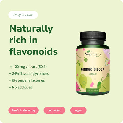 Ginkgo Biloba Extracto Cápsulas