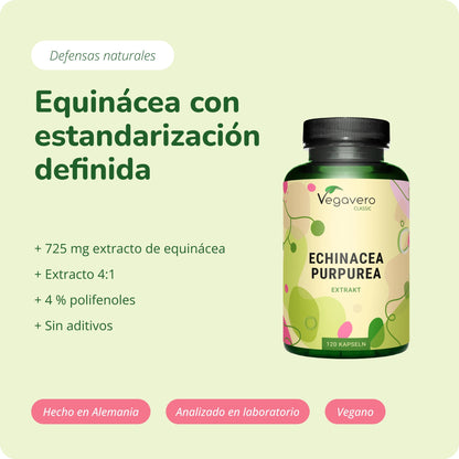 Equinácea Purpurea Extracto Cápsulas