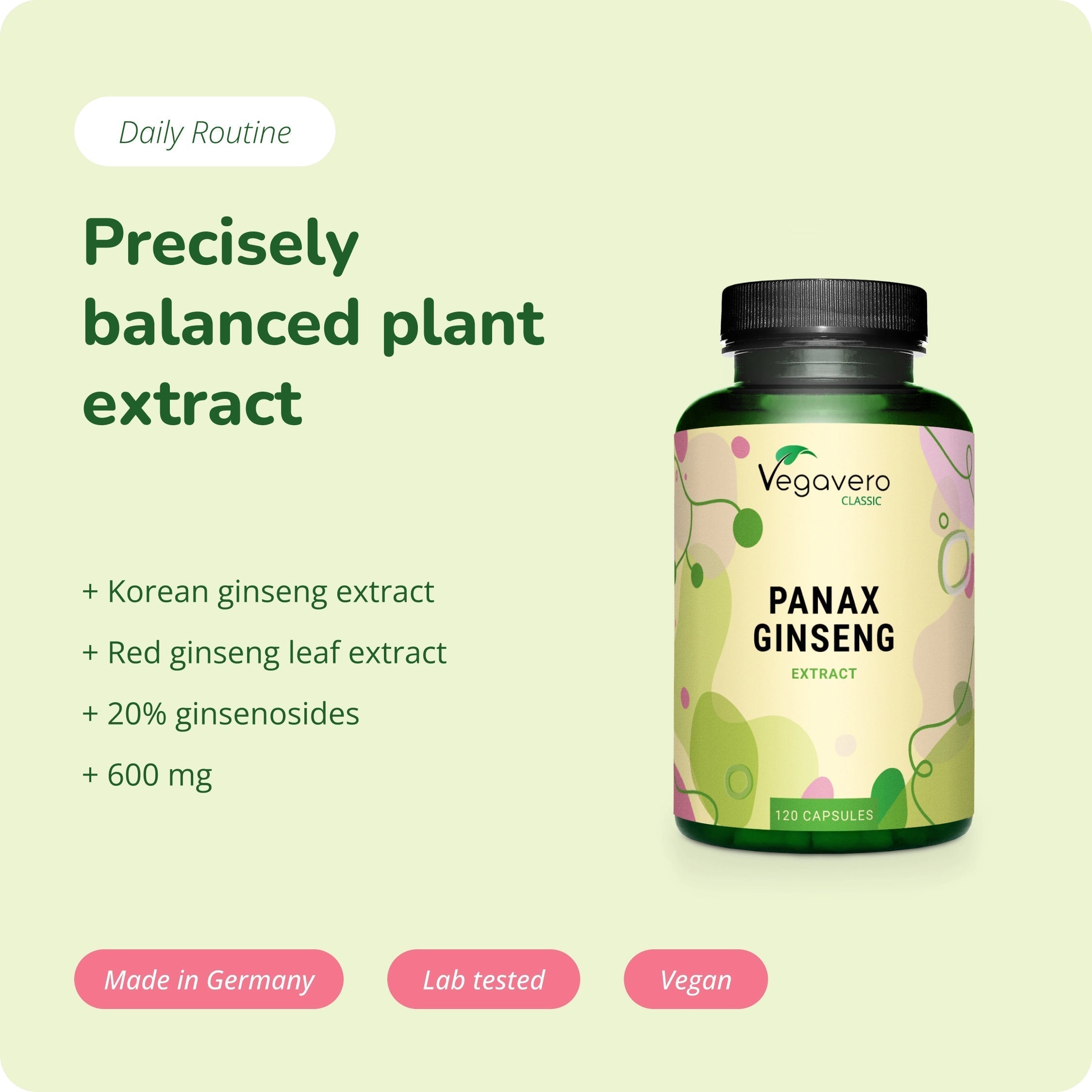 Panax Ginseng Extracto Cápsulas