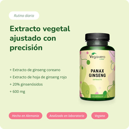 Panax Ginseng Extracto Cápsulas