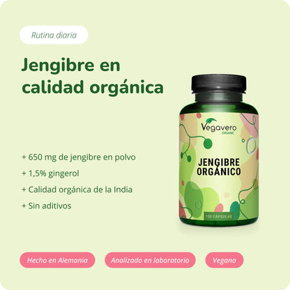 Jengibre Cápsulas Orgánico