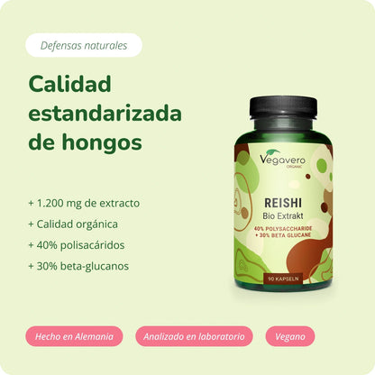 Reishi Extracto Cápsulas Orgánico