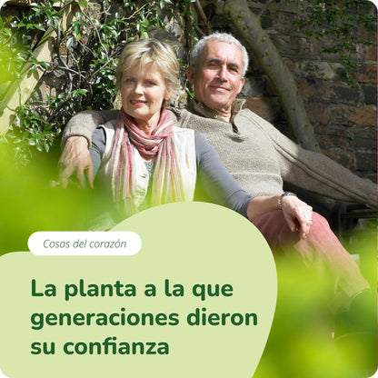 Espino Blanco Extracto Cápsulas Orgánico