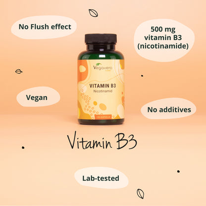 Vitamina B3 (Nicotinamida) Cápsulas