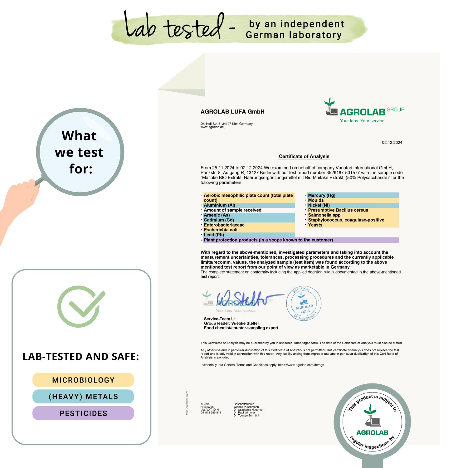 Maitake Extracto Cápsulas Orgánico