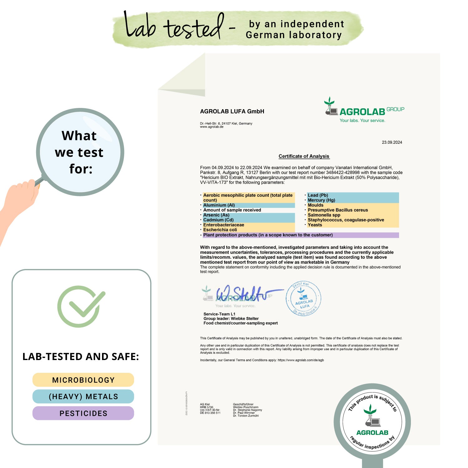 Melena de León Cápsulas Orgánico