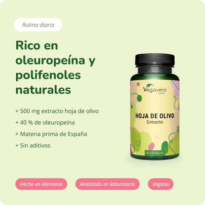 Hoja de Olivo Extracto Cápsulas