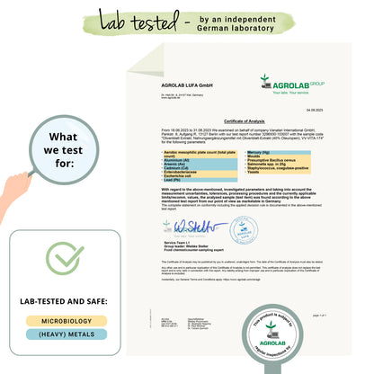 Hoja de Olivo Extracto Cápsulas