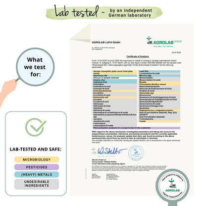 Ortiga Extractos Cápsulas Orgánico
