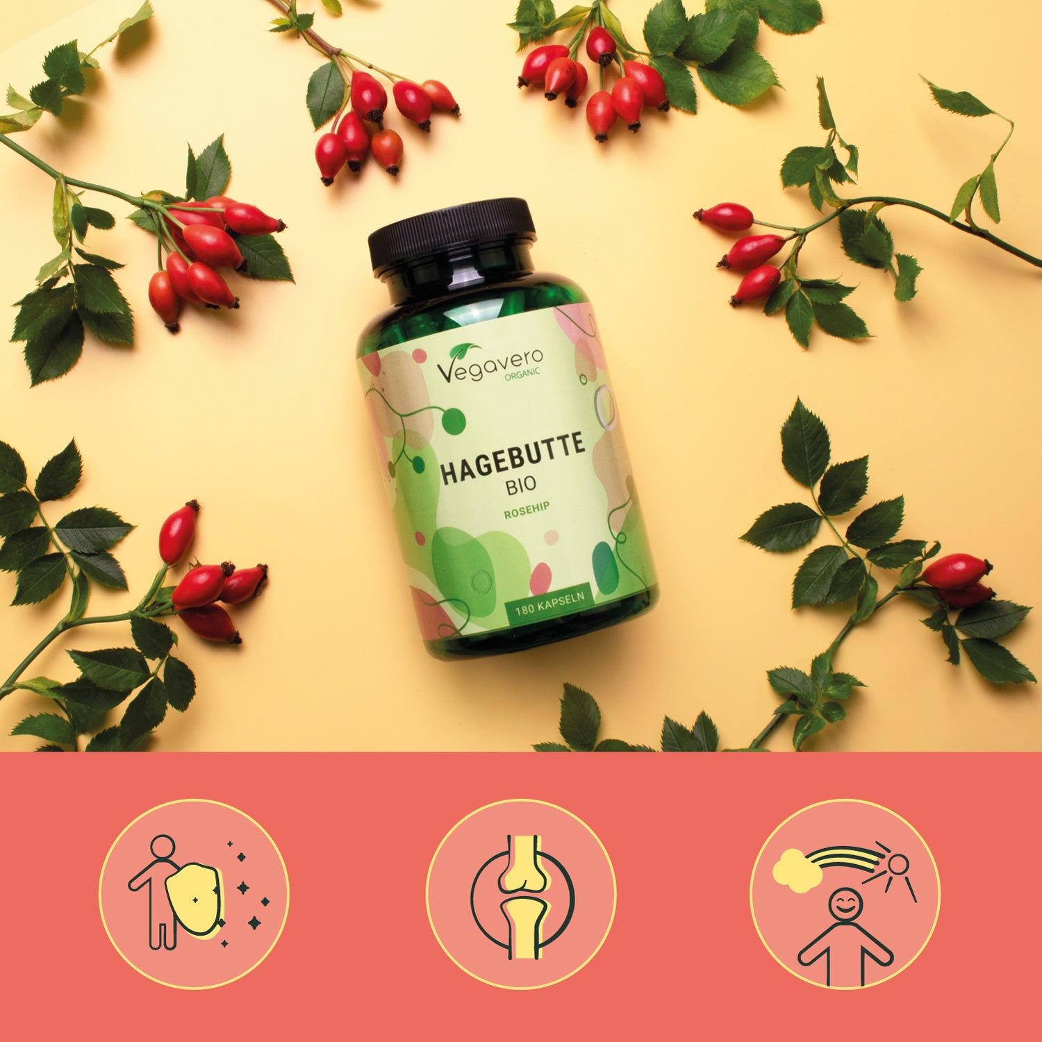 Escaramujo Cápsulas Orgánico