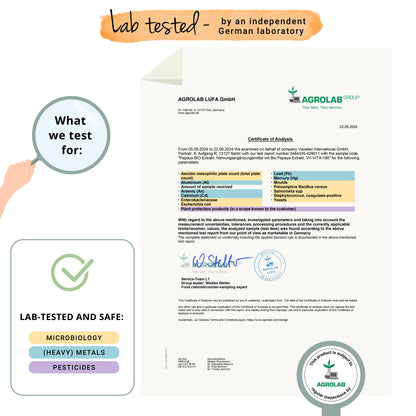Papaya Extracto Cápsulas Orgánico