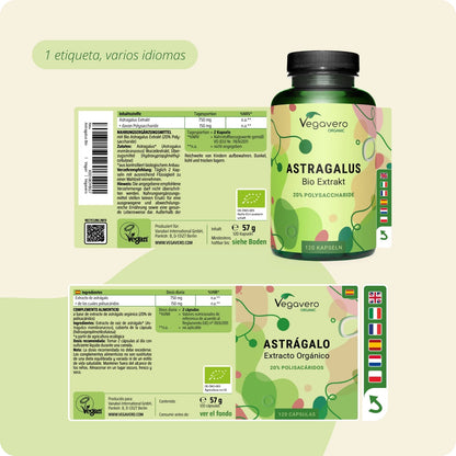 Astrágalo Extracto Cápsulas Orgánico