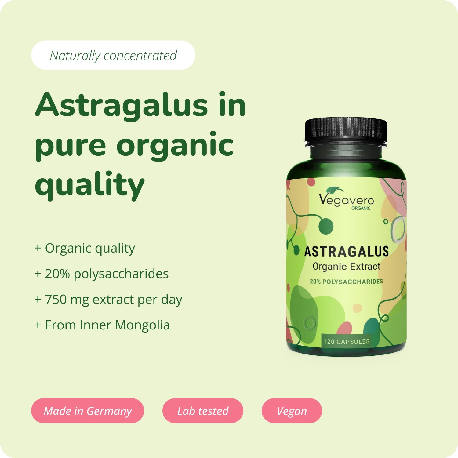 Astrágalo Extracto Cápsulas Orgánico