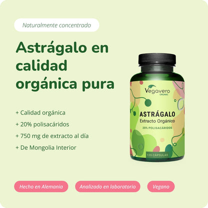 Astrágalo Extracto Cápsulas Orgánico