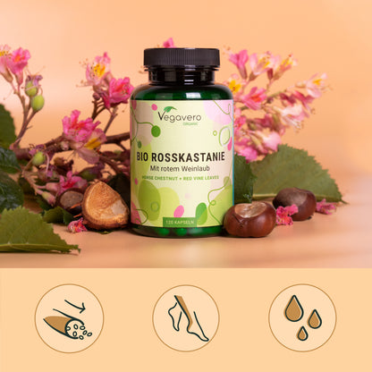 Castaña de Indias Cápsulas Orgánico