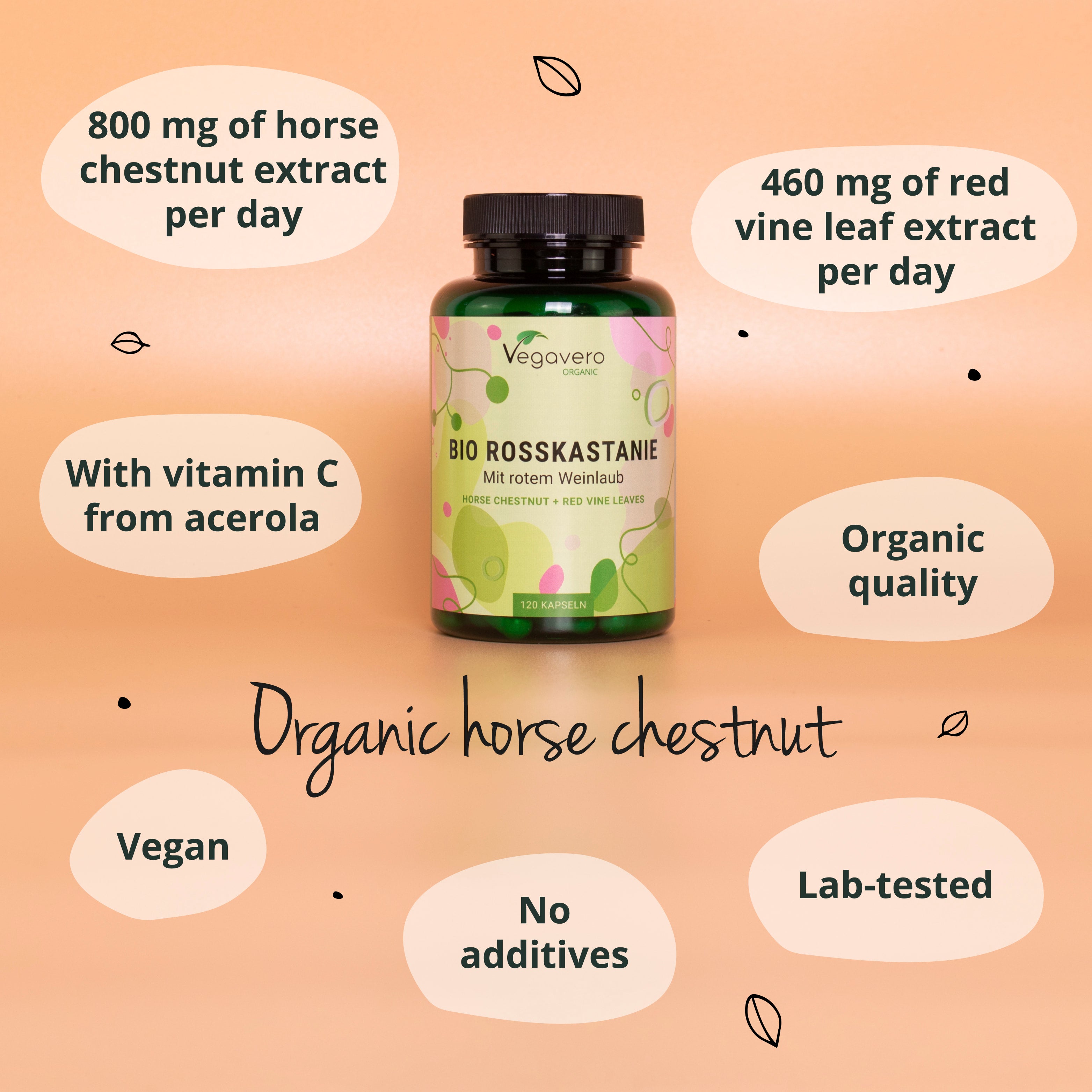 Castaña de Indias Cápsulas Orgánico