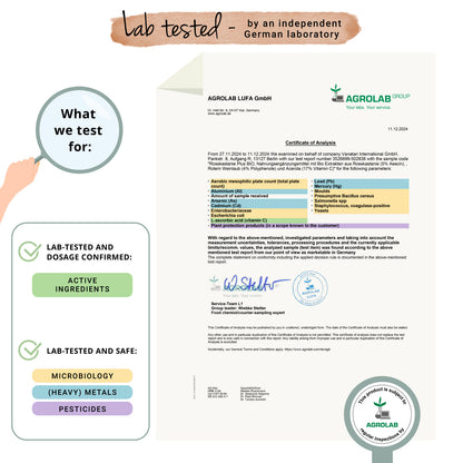 Castaña de Indias Cápsulas Orgánico