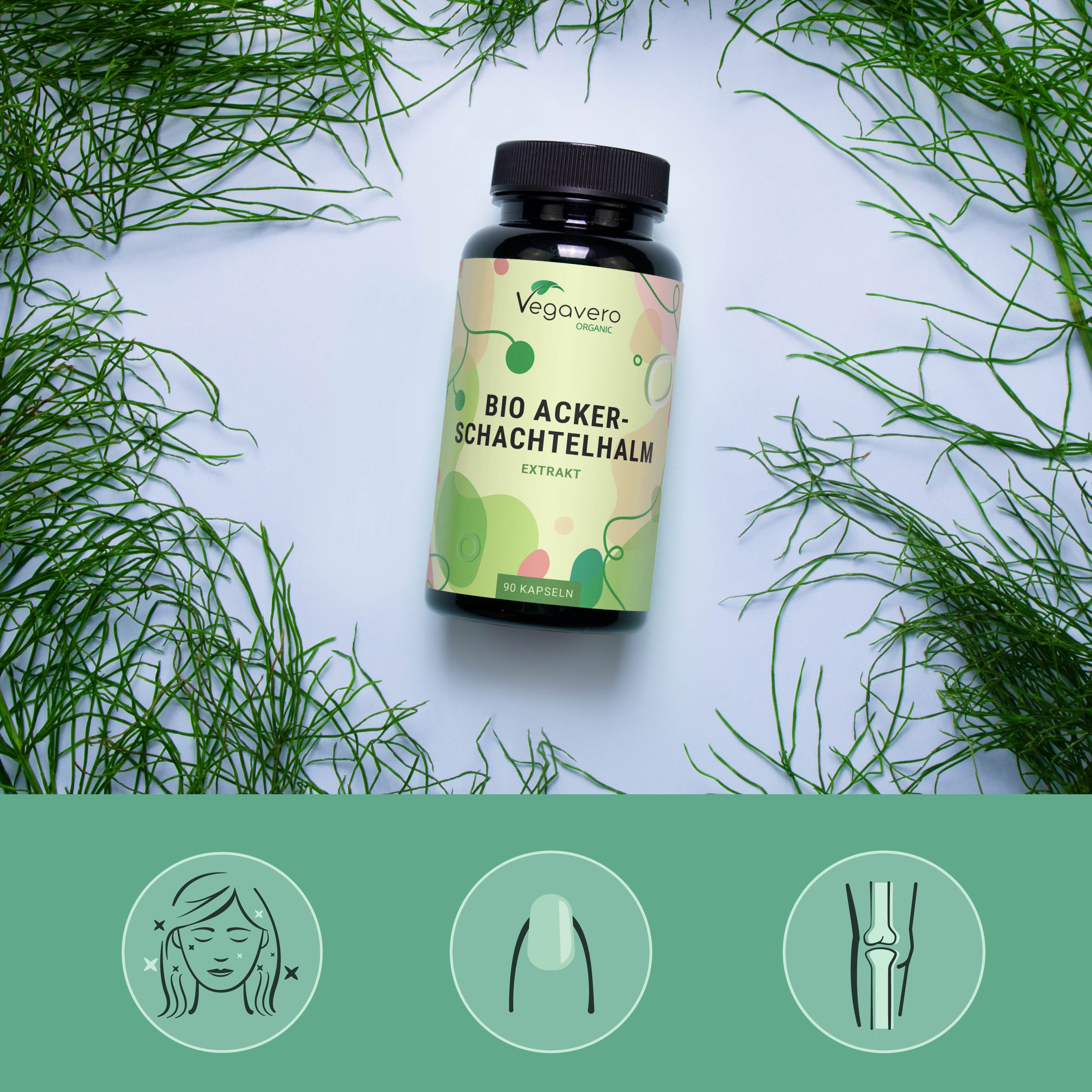 Cola de Caballo Extracto Cápsulas Orgánico